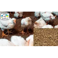 Курица несушка стандарт гровер (откорм)ПК 1–3, 9-19 недель